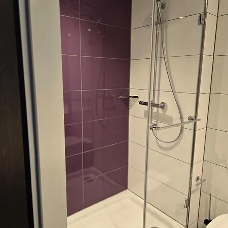 Premier Altstadt Otel 3*
